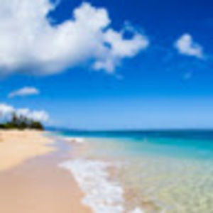 Meet your Posher, Fabiola